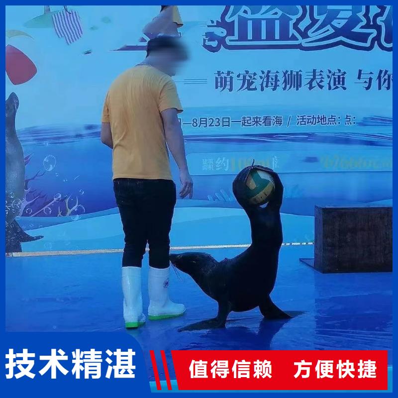 海洋生物展租赁图片