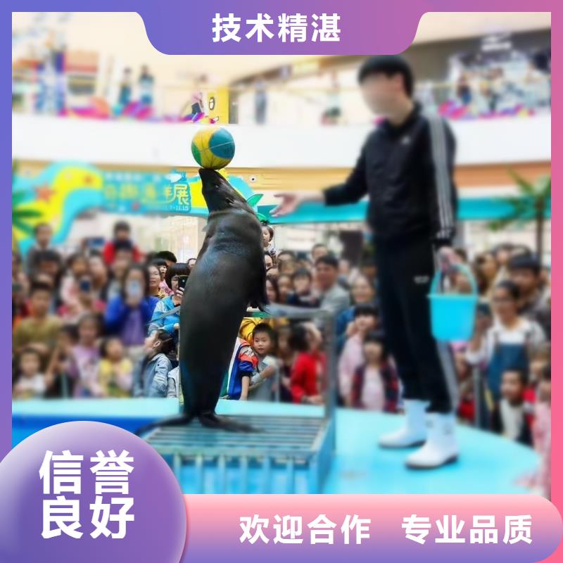 海洋生物展出租