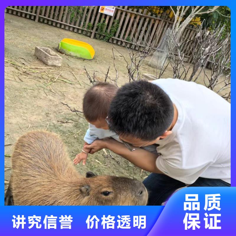 质优价廉的饲养员厂家