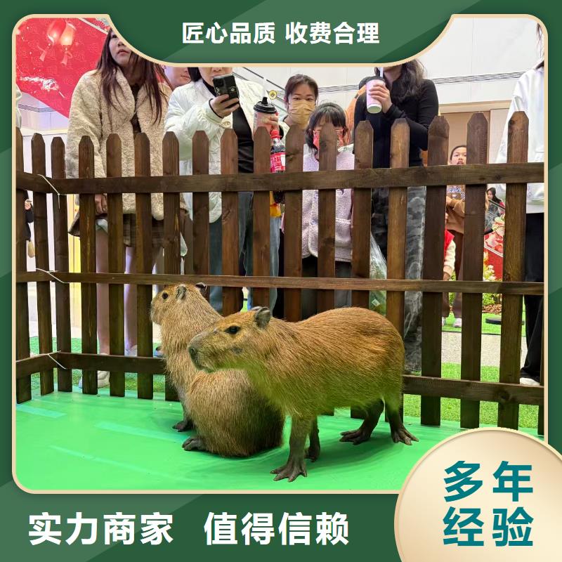 全年龄段适配_服务优质