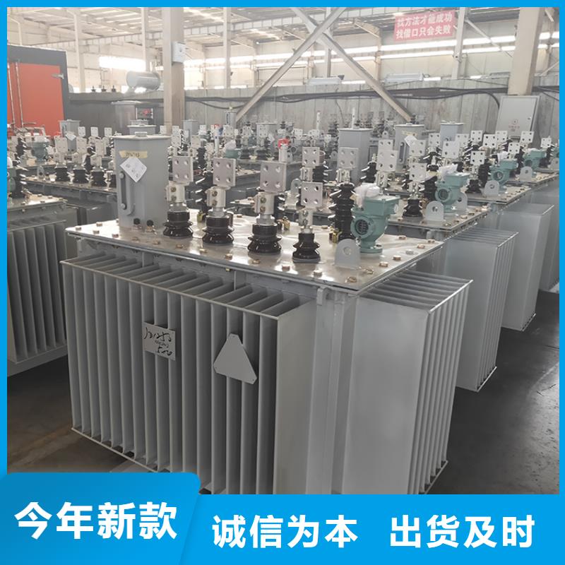 6300KVA油浸式變壓器廠(chǎng)家/S11/S13-160KVA/10KV/0.4KV油浸式變壓器