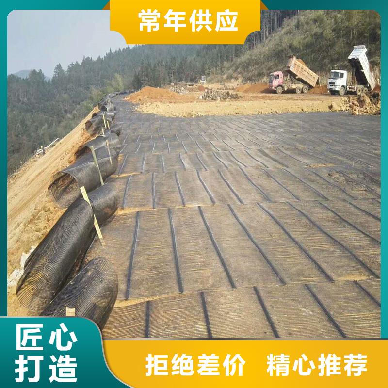 双向塑料土工格栅型号齐全