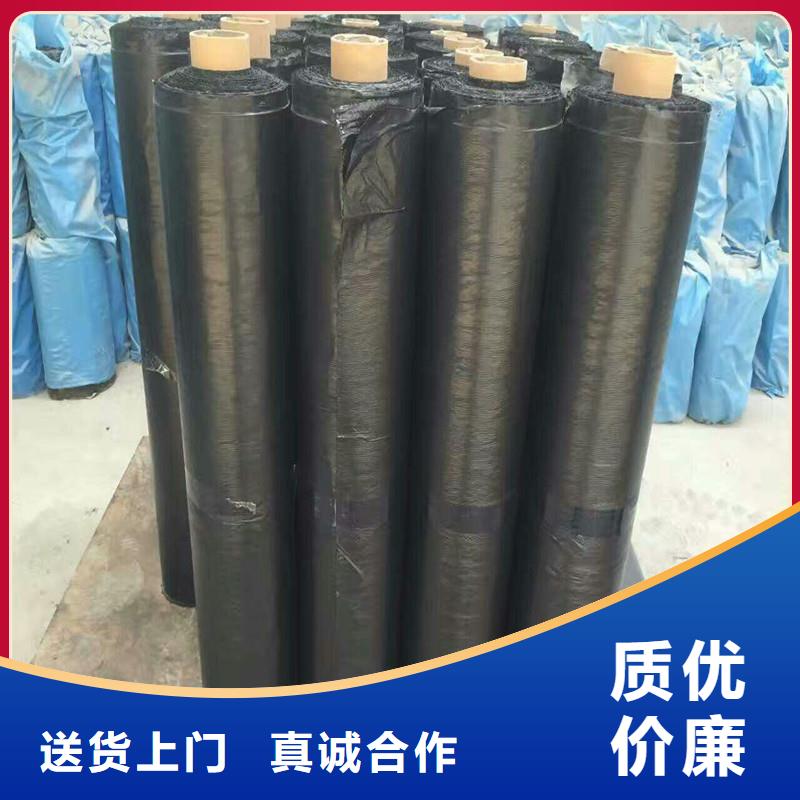 雙向土工格柵廠家
