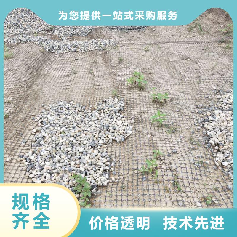 钢塑土工格栅价格实惠