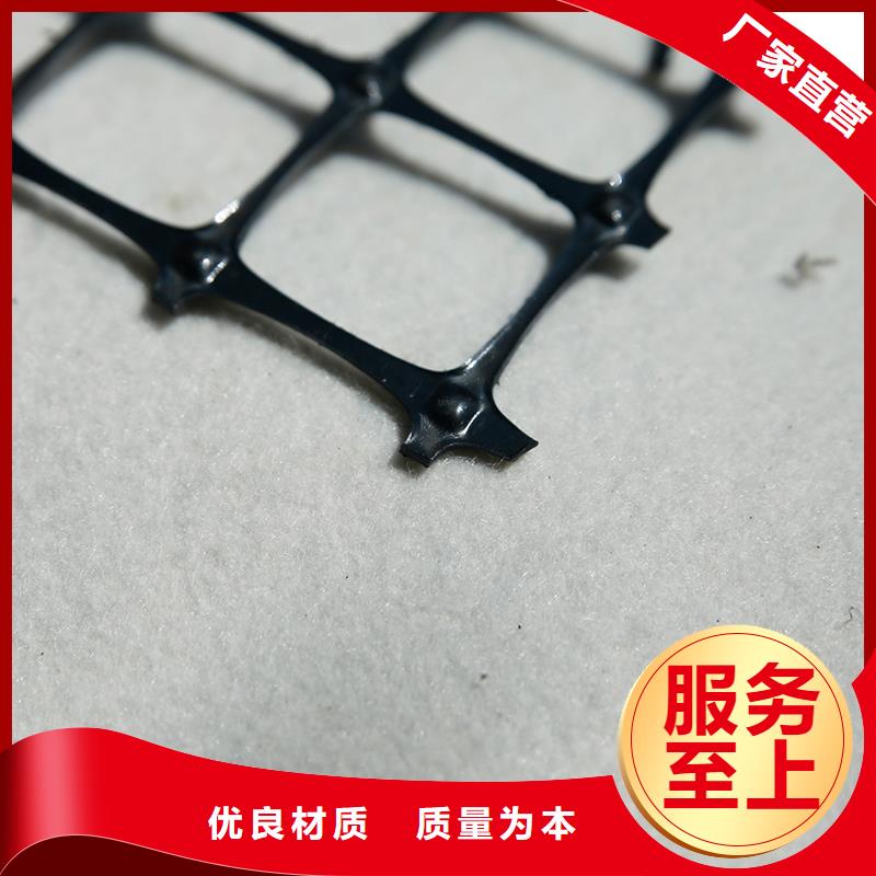 雙向土工格柵實力廠家