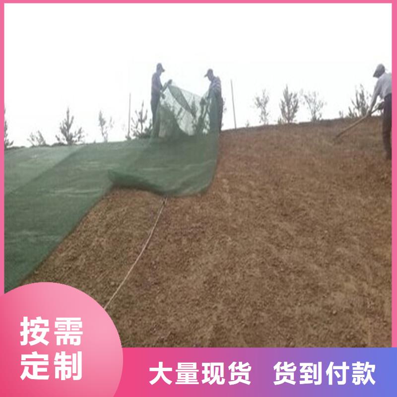 【土工布】蓄水板適用范圍廣