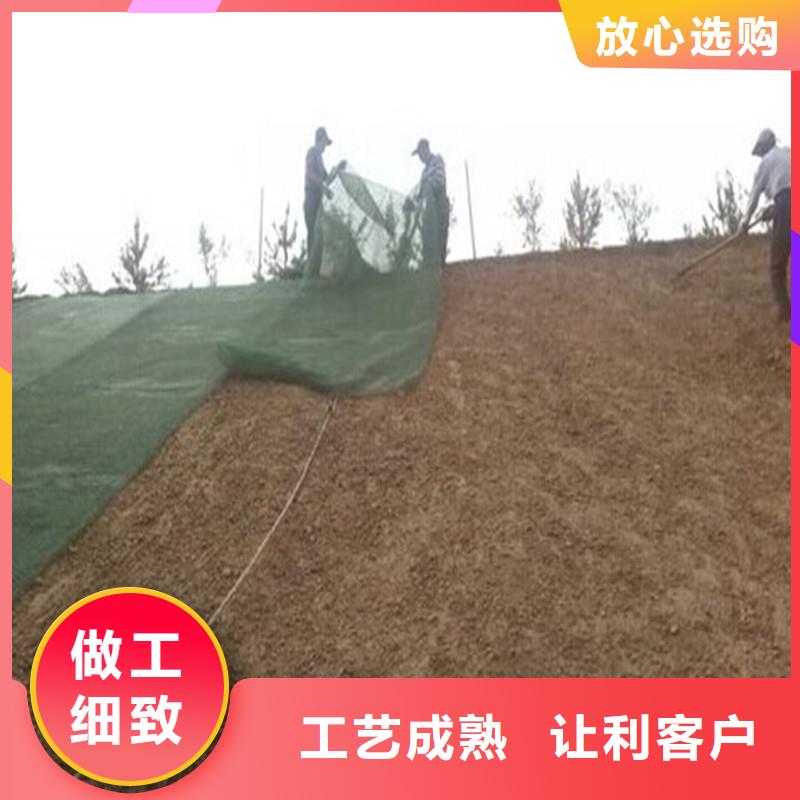 土工布三維植被網好廠家有擔當