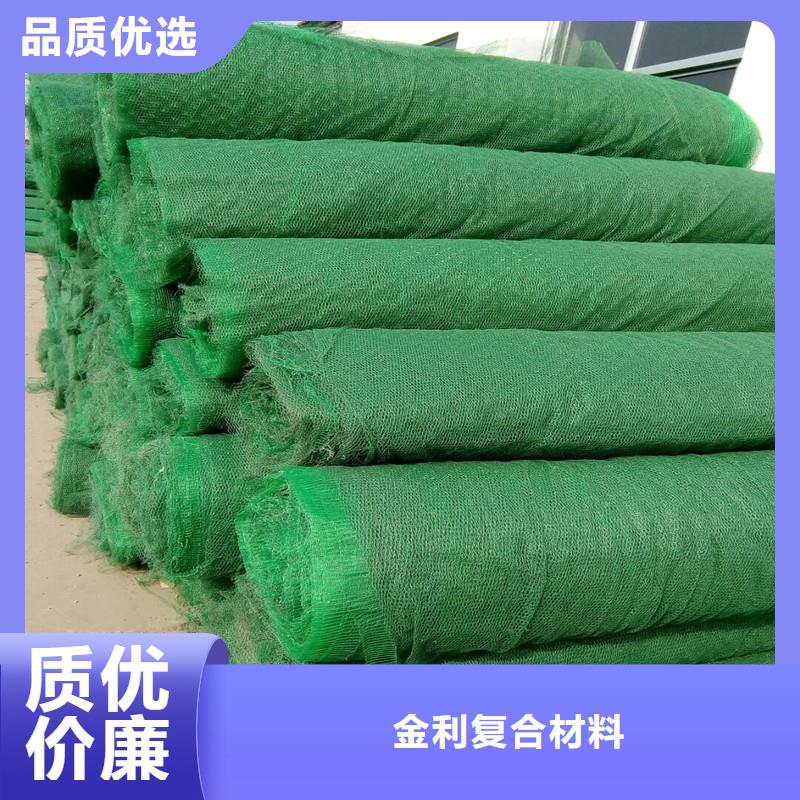 土工布植草格精選廠家好貨