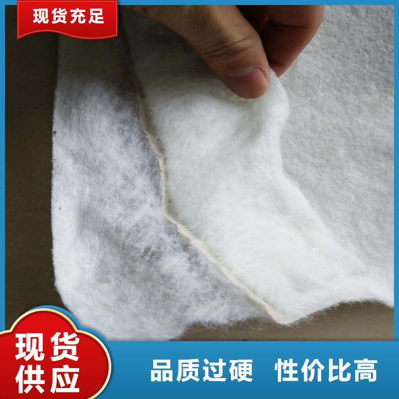 土工布植草格精選廠家好貨