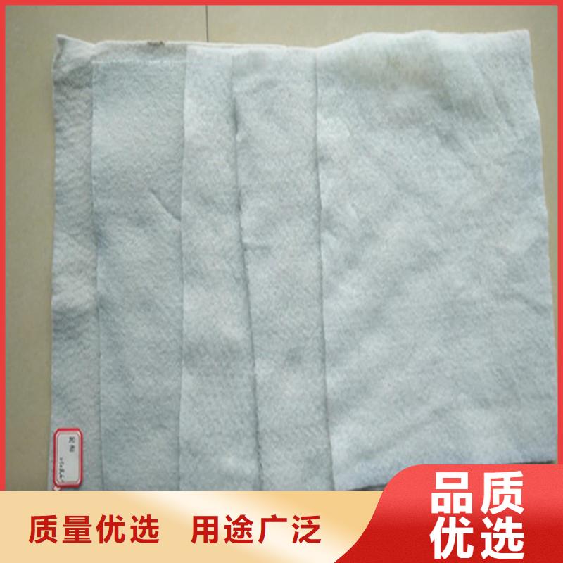 土工布經編滌綸土工格柵廠家自營
