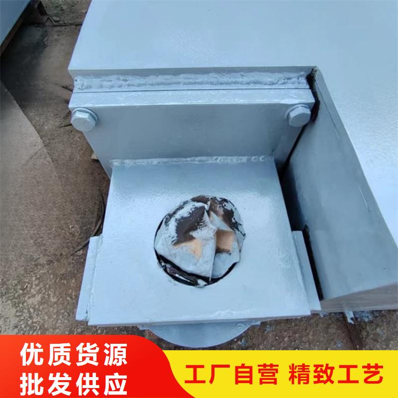 2025欢迎访问##子母电动铅门##生产厂家