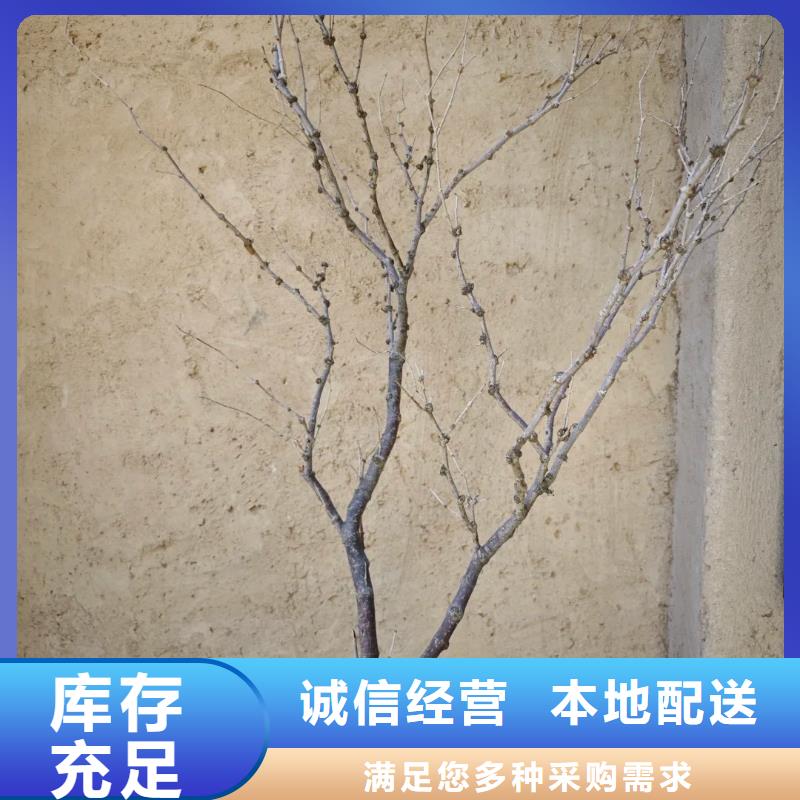 斷層仿泥巴墻涂料價格#泥巴墻漆#老房翻新#民宿改造