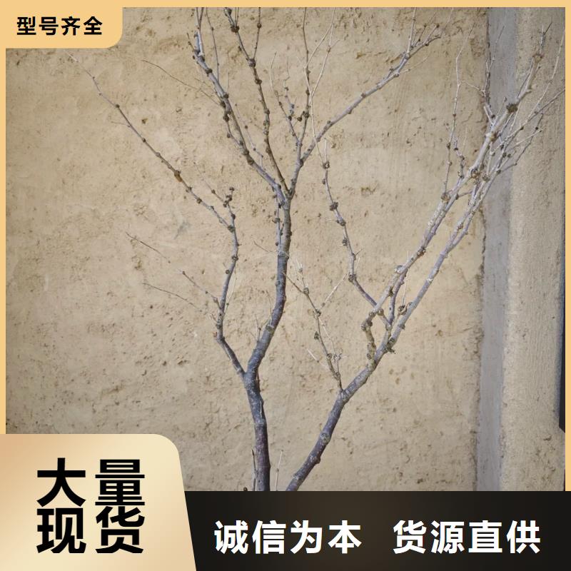 仿夯土稻草漆廠家#農(nóng)家小院#鄉(xiāng)村建設(shè)#民宿改造