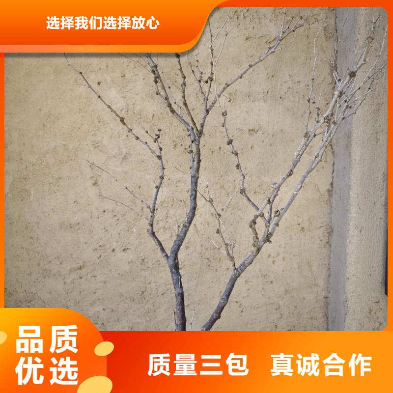 室外稻草漆批發價