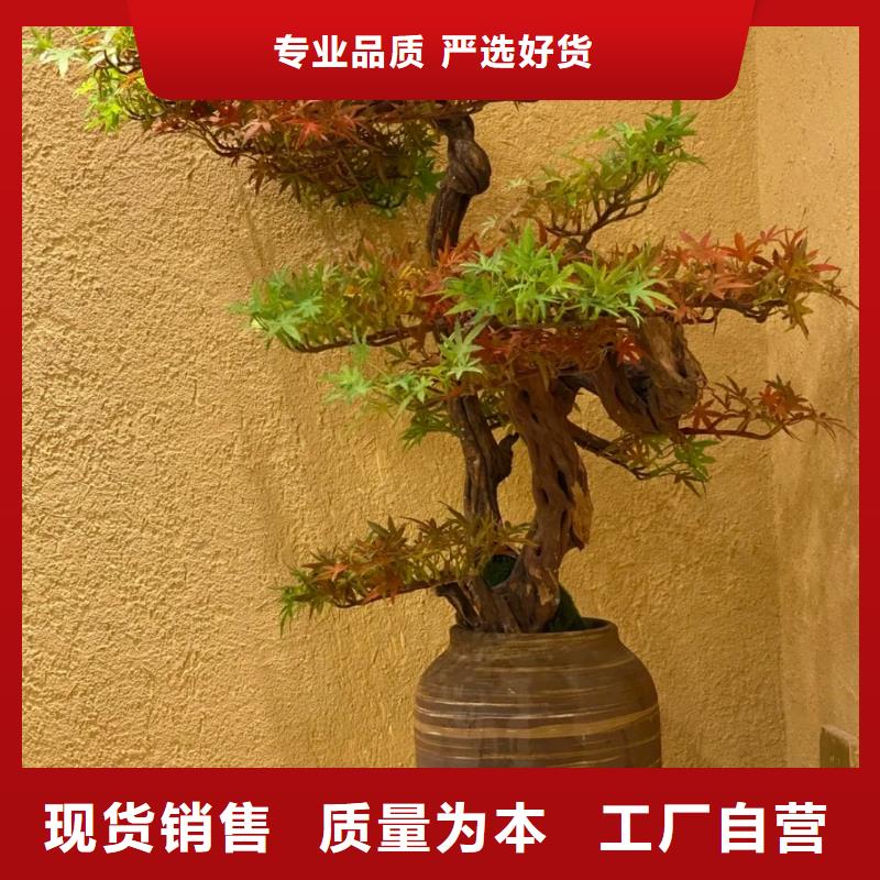 夯土藝術(shù)漆多少錢#泥巴墻漆#老房翻新#民宿改造