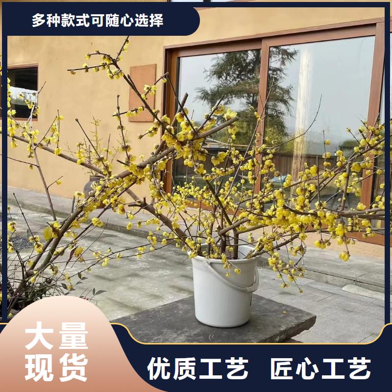 稻草夯土漆施工#內(nèi)外墻稻草漆#民宿改造#鄉(xiāng)村建設(shè)