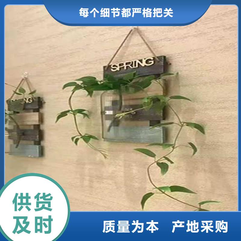 白色肌理漆廠家供應