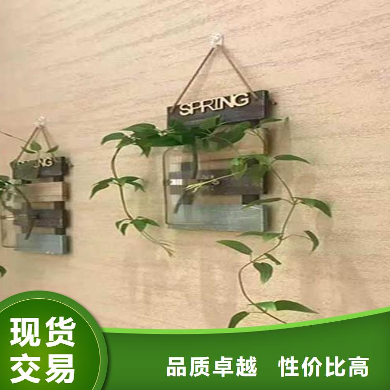 肌理涂料廠家供應