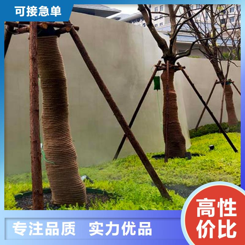 質感微水泥一公斤價格