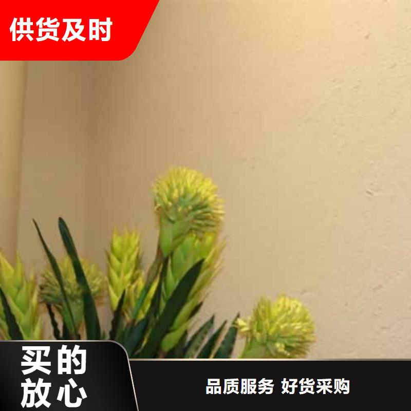 雅晶石漆施工視頻