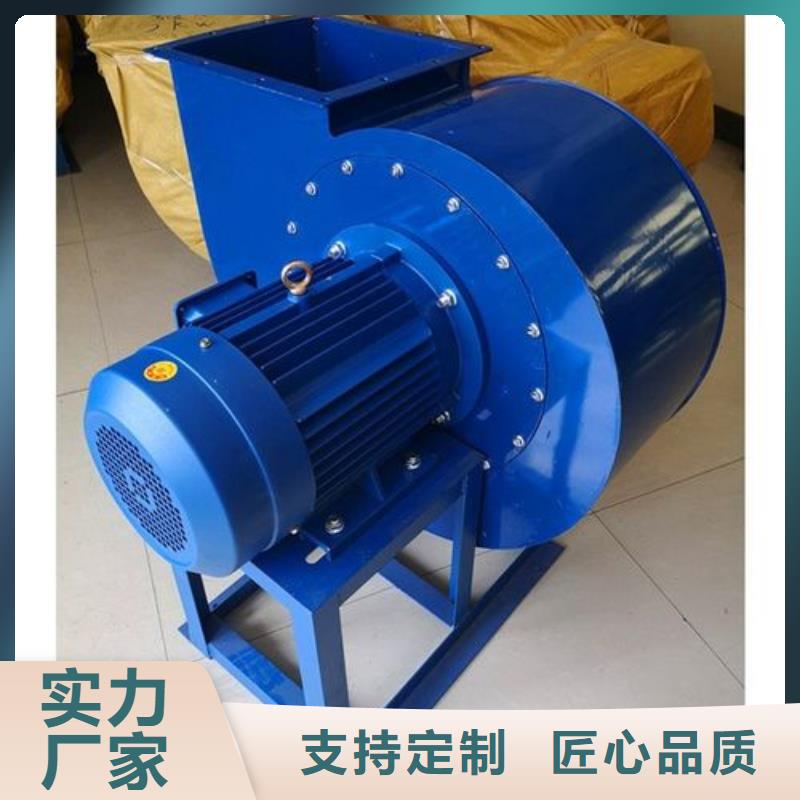 山东立通风机专业可靠