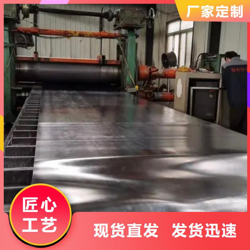 鉛板電動(dòng)射線防護(hù)門廠家新品
