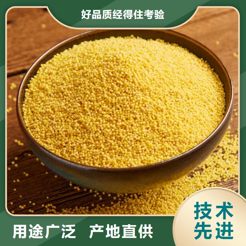 聚合氯化鋁【金剛砂濾料】滿足客戶所需