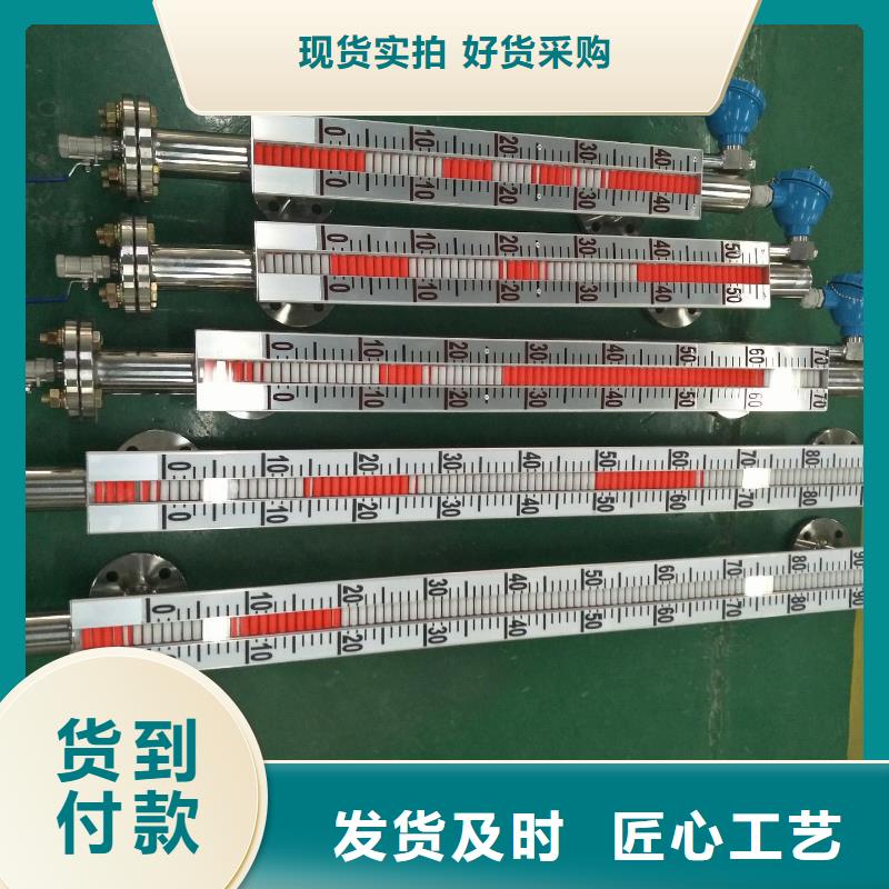 屯昌县SWP-T804-22-23-2H2L光柱控制仪