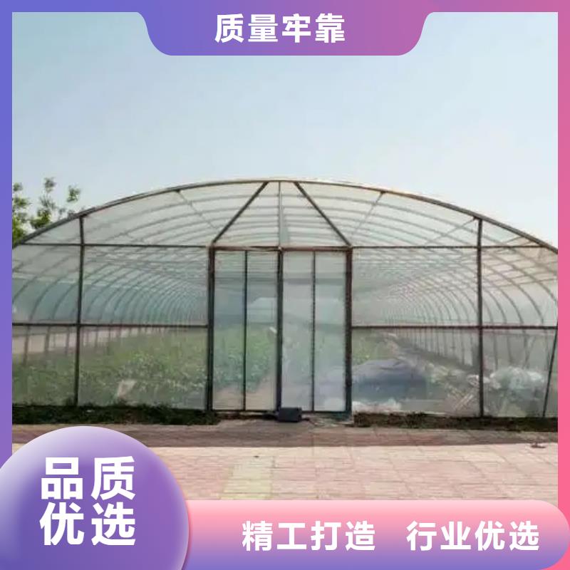 桂阳县葡萄沃柑种植大棚货真价实