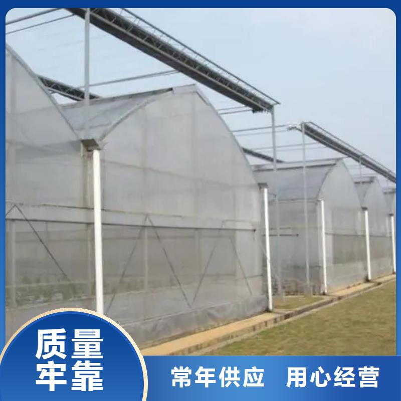 安岳县草莓大棚生产基地