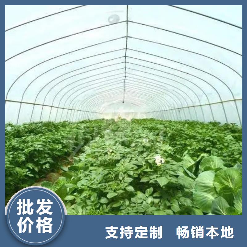 荣县蔬菜大棚骨架品质保证2024--境内派发