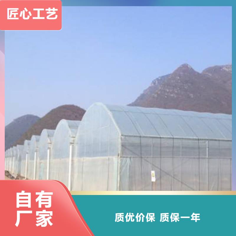 舞阳县单体钢架大棚造价表直销价格2024-8-28