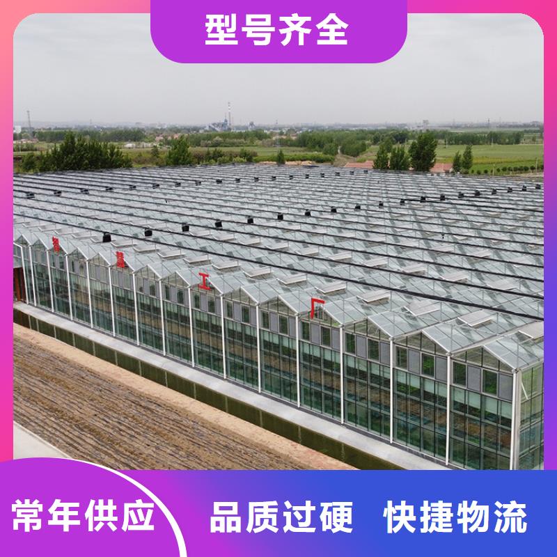 临朐县温室大棚厂家工厂直销2024--09