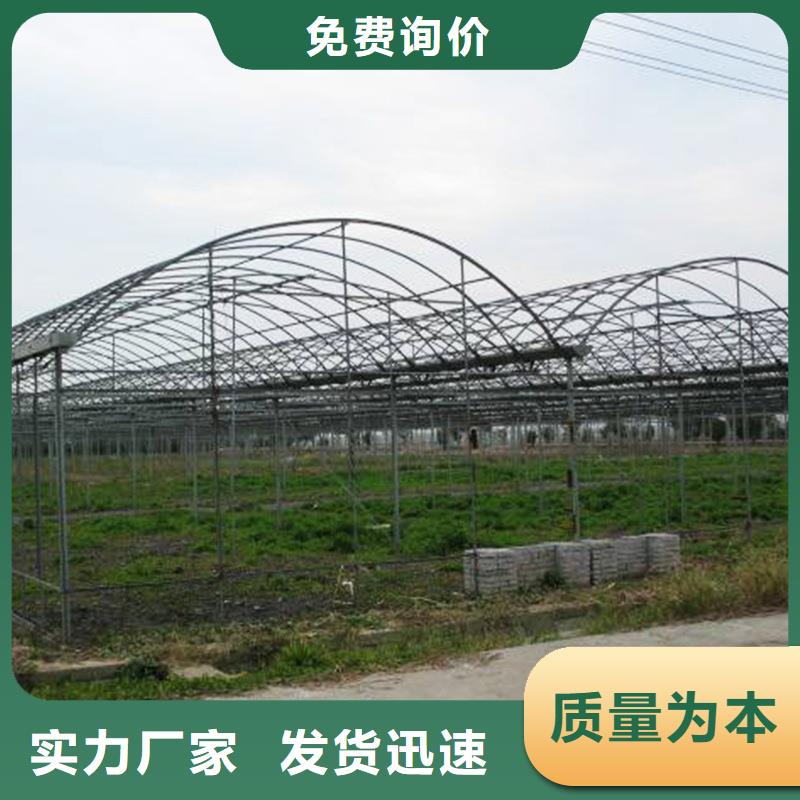 开福区蔬菜大棚钢管生产基地