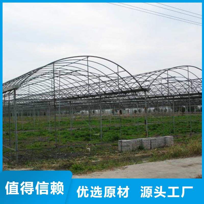 仙游县GP825蔬菜大棚管品质保证