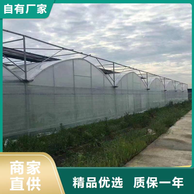 荥阳市草莓西瓜擦地棚生产基地