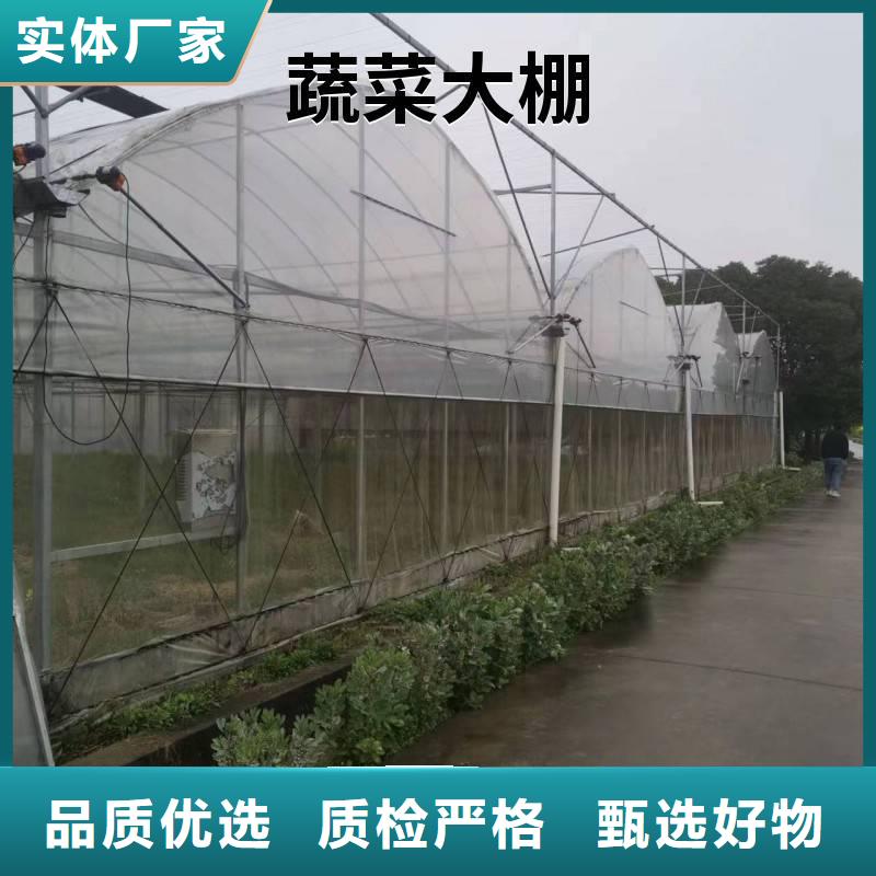 东川区草莓大棚的跨度几米厂家现货