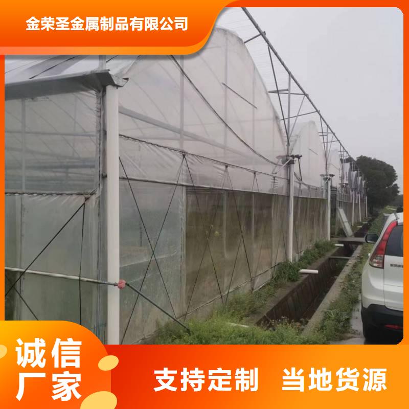 晋州市葡萄连体避雨大棚实力厂家2024--09