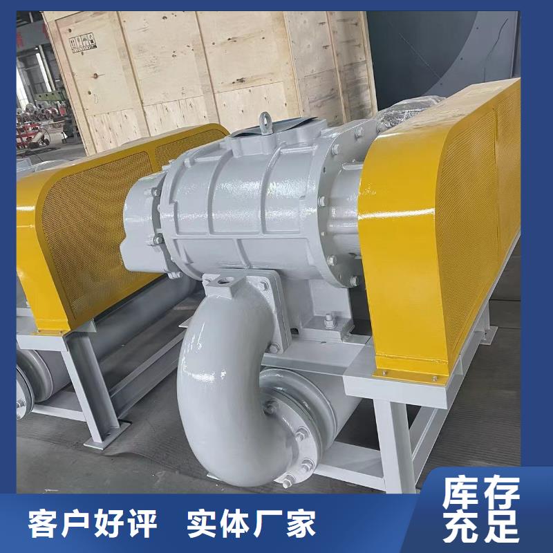 效率高兩葉羅茨風機LFSR250