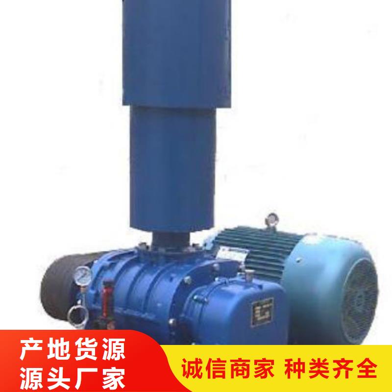2025三葉羅茨鼓風機LFSR100