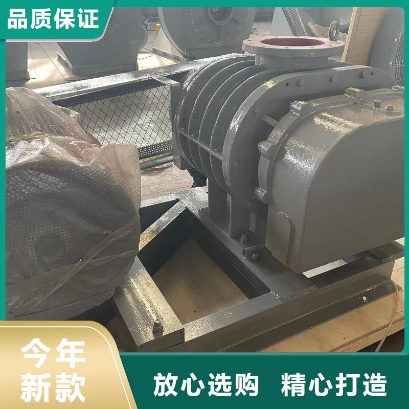山東臨風科技股份洗煤專用羅茨風機LFSR80