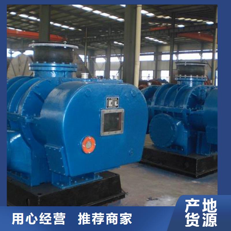 山東臨風科技股份有限公司兩葉羅茨風機LFSR100