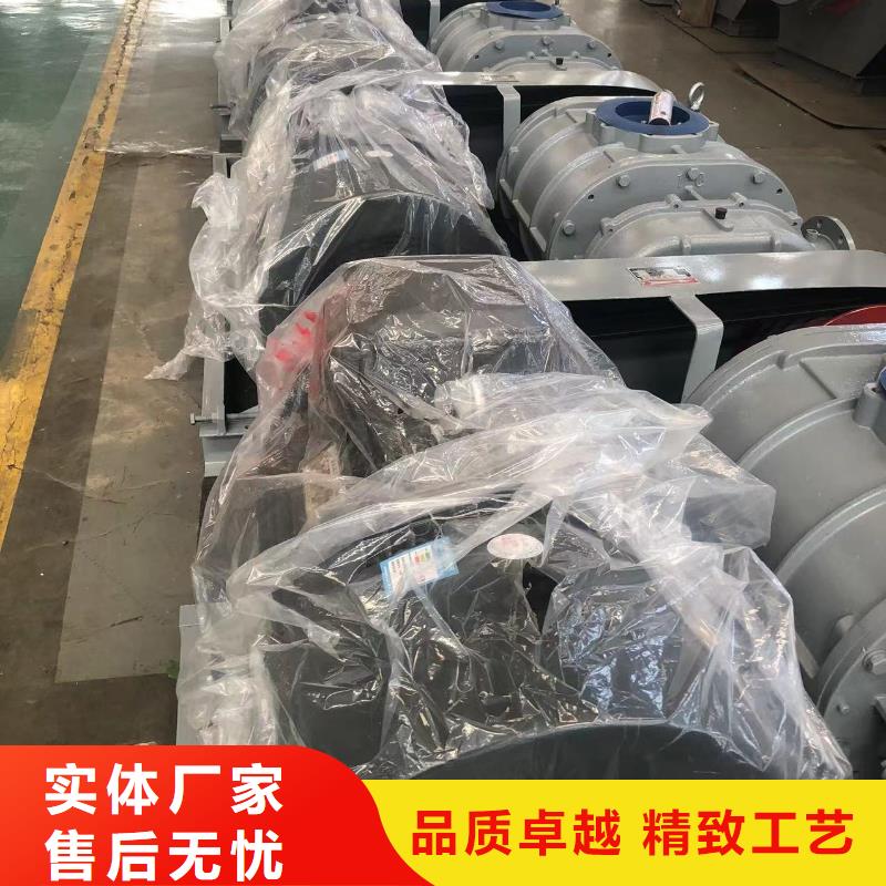 每日L系列羅茨風機LFSR250