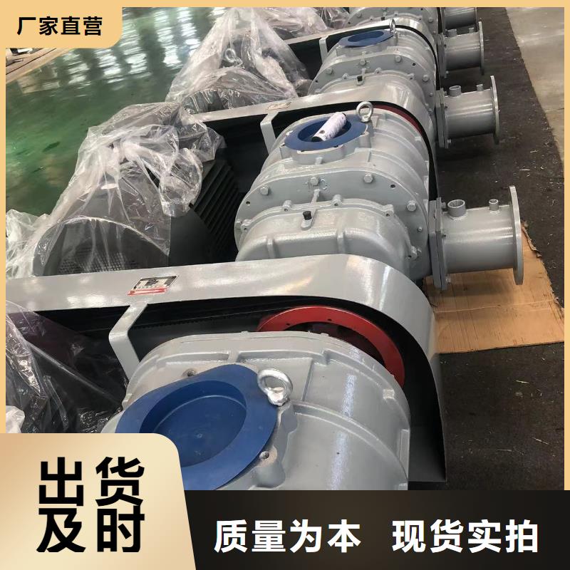 山東臨風科技股份有限公司洗煤專用羅茨風機LFSR100