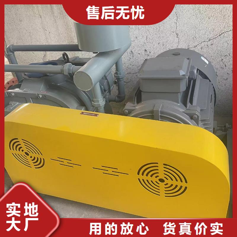 臨風(fēng)股份L系列羅茨風(fēng)機(jī)LFSR250