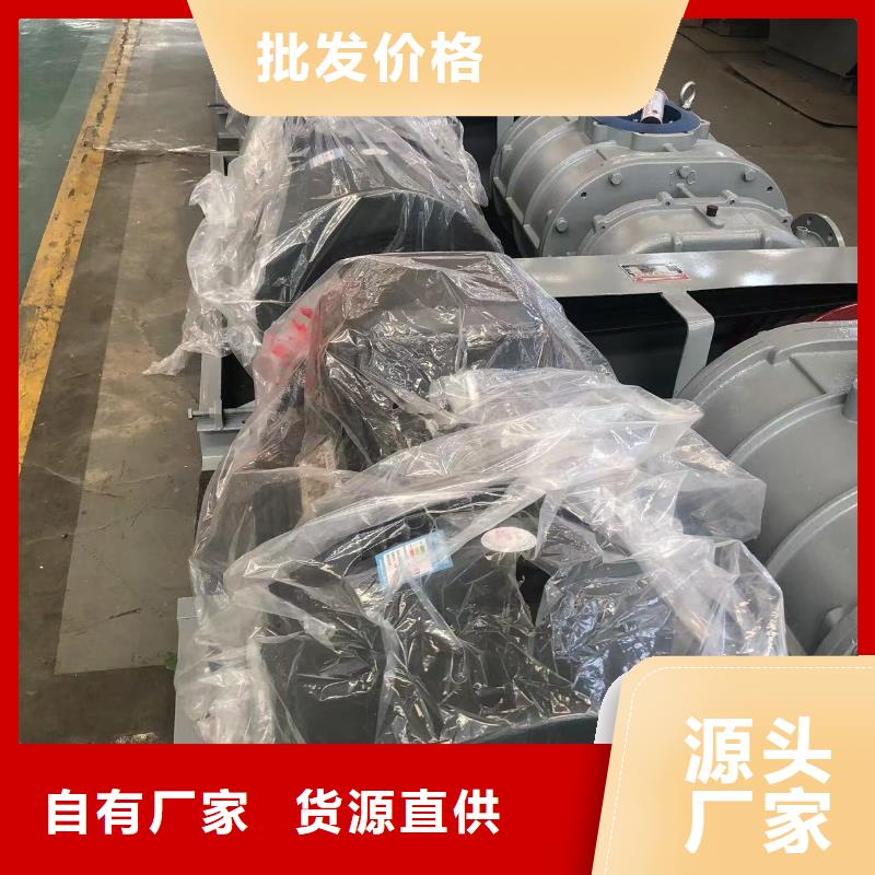 2025经验丰富#三叶罗茨鼓风机定制#源头厂家