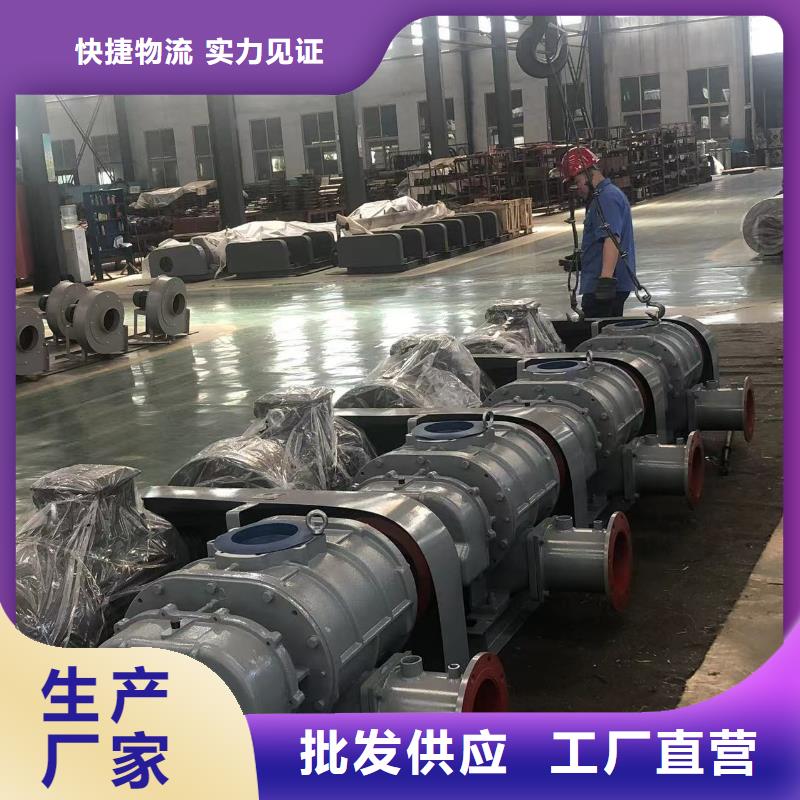 山東臨風氧化風機LFSR100