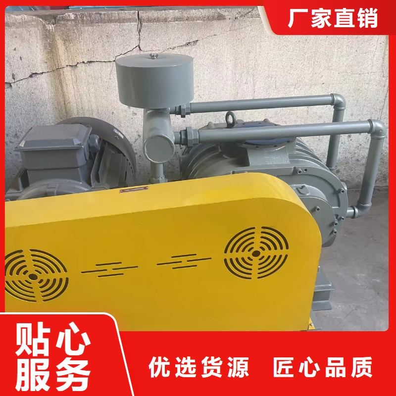 山東臨風(fēng)科技股份有限公司羅茨鼓風(fēng)機(jī)LFSR300