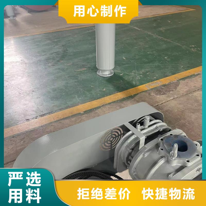 山東臨風科技股份有限公司返料風機LFSR150