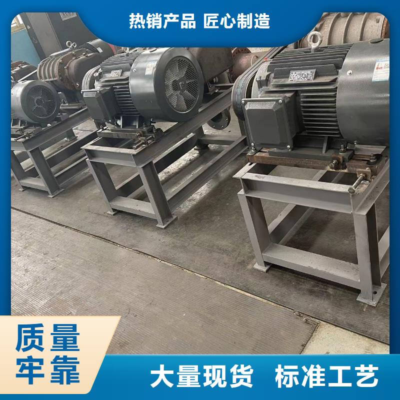 2025洗煤專用羅茨風機LFSR250